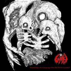 Uzumaki (USA) : Knowledge of a Language One Has Never Learned